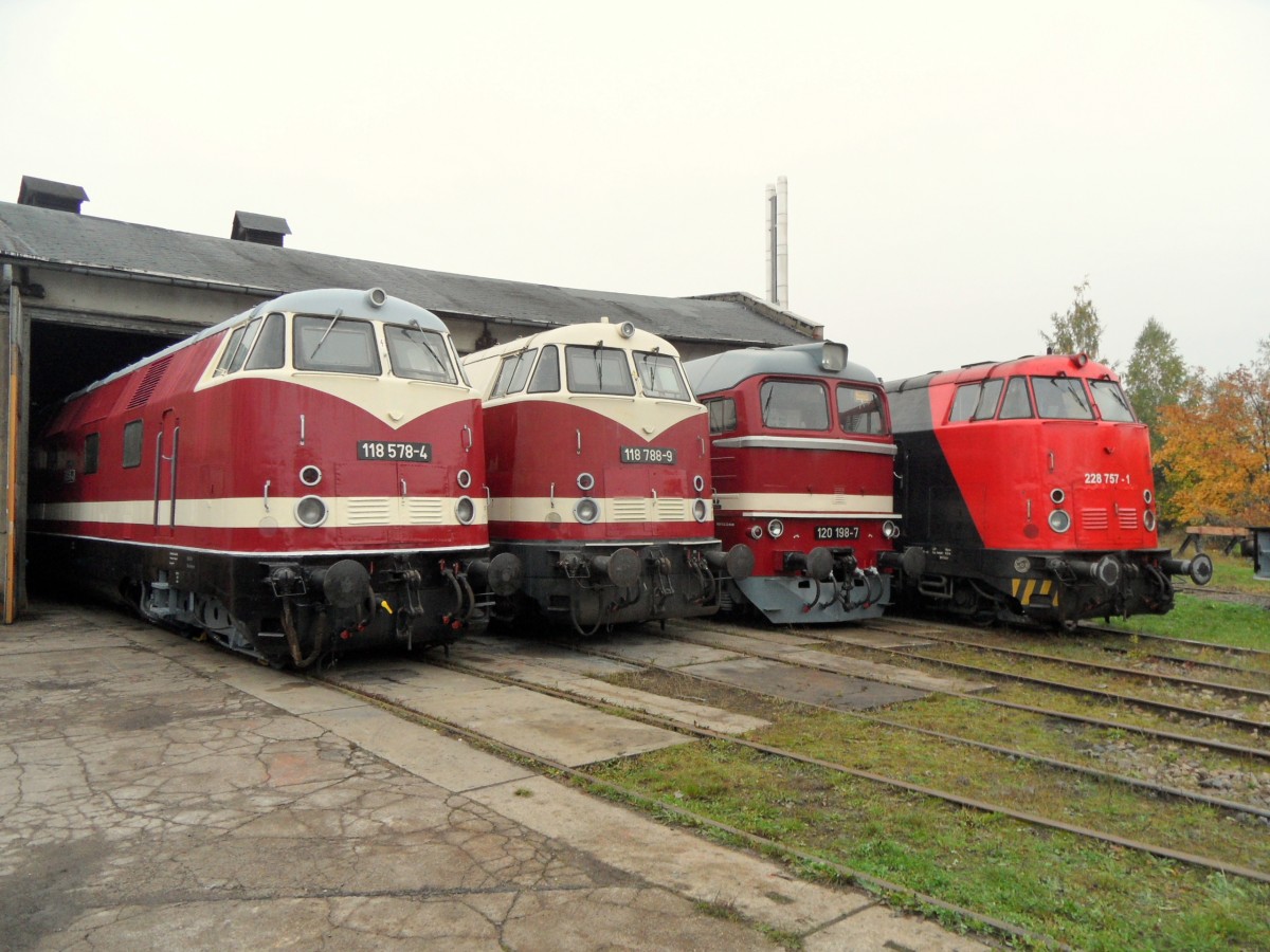 Gruppenbild mit drei Babelsbergerinnen und einer Wumme
im Bw Weimar zum DR-Dieselloktreffen, 12.10.2013