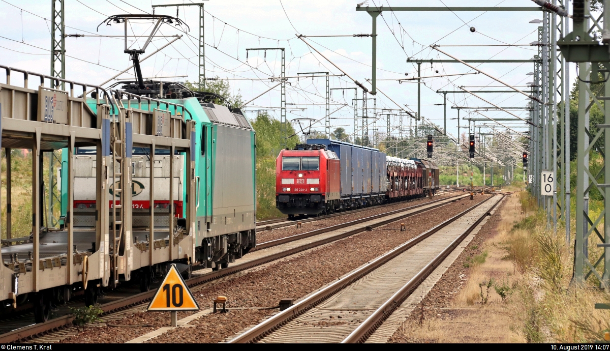 Gruß unter Lokführern:
Ein gemischter Gz mit 185 229-2 DB kommt einem Autotransportzug (leer) mit 270 005-7 (186 134-3 | 91 51 6270 005-7 PL-ITL) der Alpha Trains Group S.à r.l., vermietet an die ITL Eisenbahngesellschaft mbH (ITL), im Bahnhof Rodleben auf der Bahnstrecke Trebnitz–Leipzig (KBS 254) entgegen.
Aufgenommen am Ende des Bahnsteigs 1.
[10.8.2019 | 14:07 Uhr]