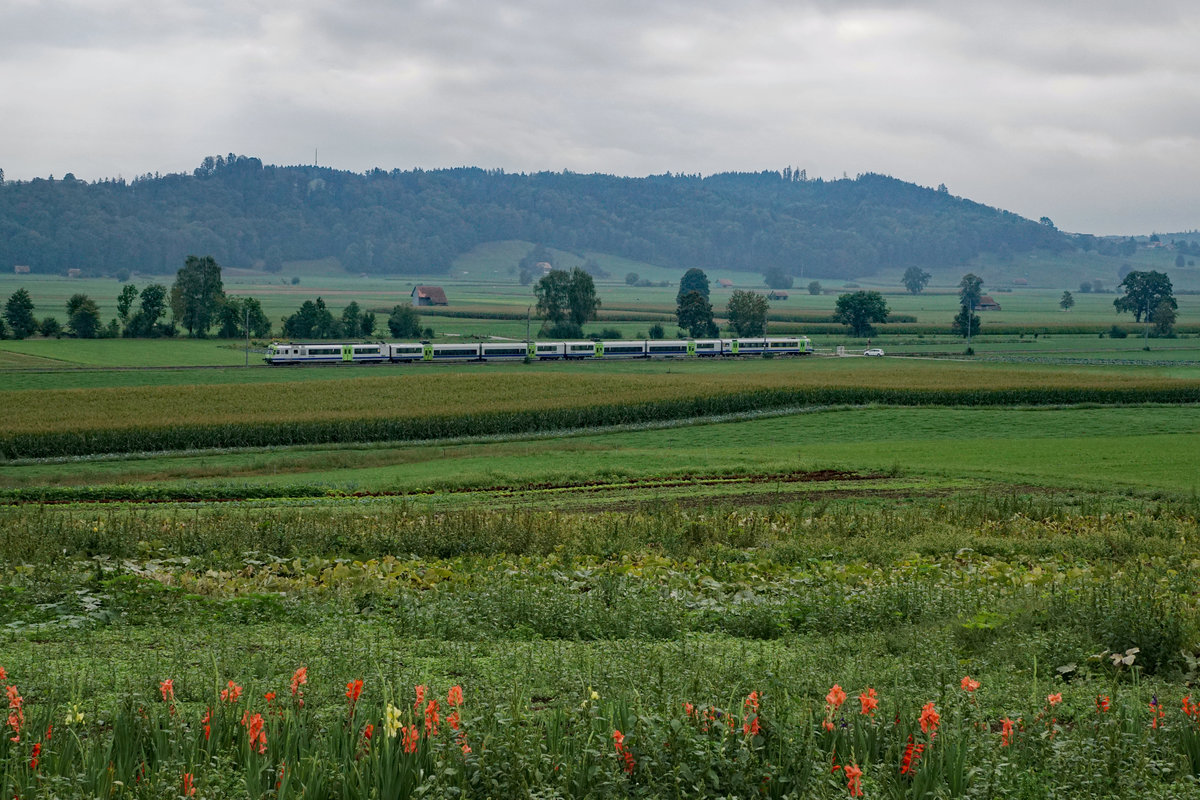 Gübetal-Bern-Schwarzenburg-Bahn/GBS
Herbstliche Morgenstimmung bei Mühlethurnen am frühen Morgen des 3. September 2018.
Foto: Walter Ruetsch