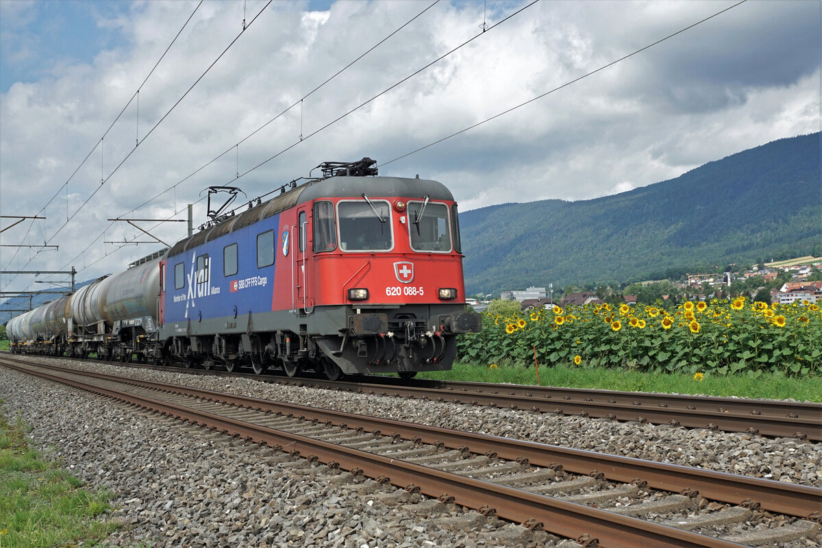 Güter ab Reuchenette-Péry mit der Re 620 088-5  X-Rail  bei den blühenden Sonnenblumen zwischen Bettlach und Selzach am 29. Juli 2021.
Foto: Walter Ruetsch 