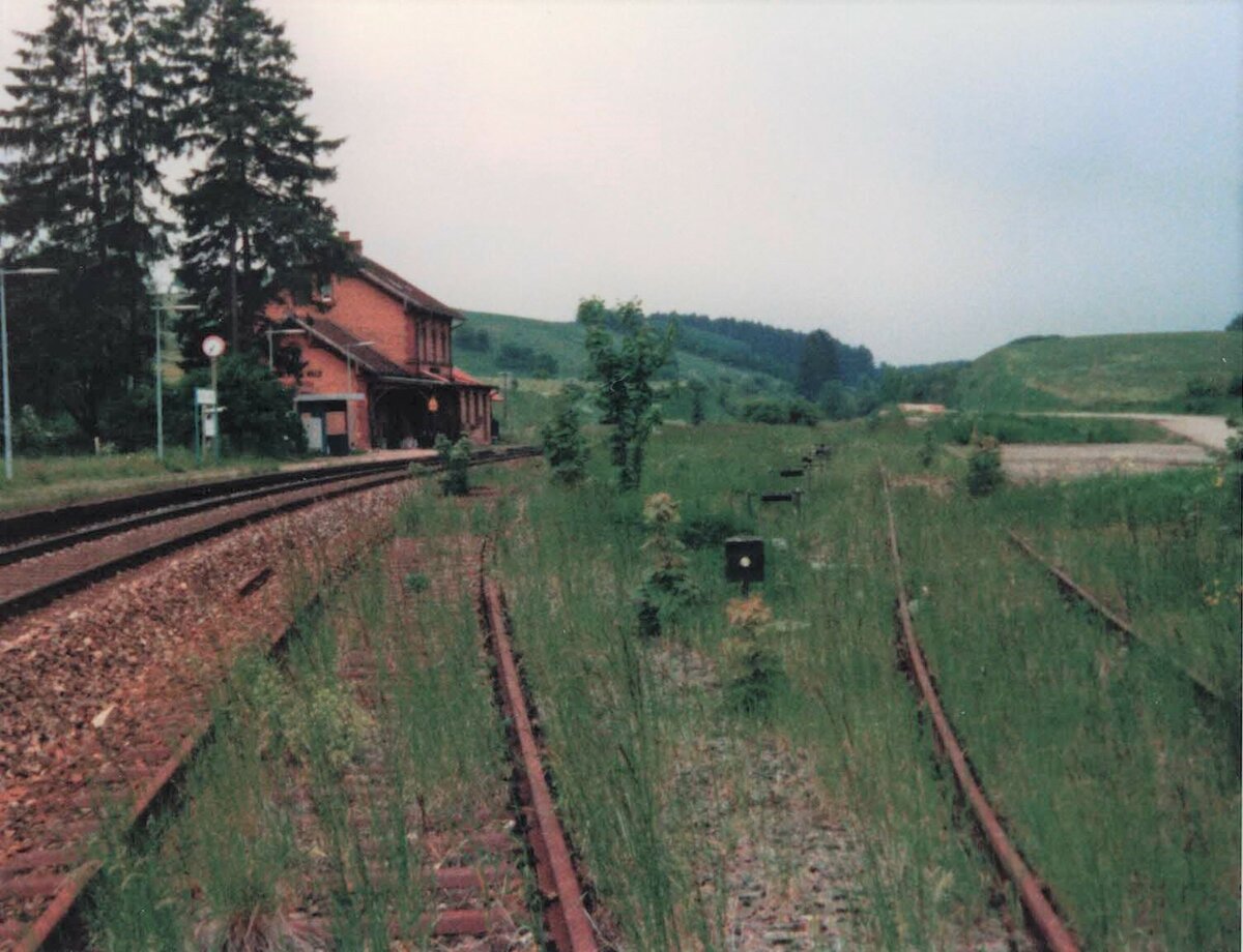 Gütergleise des Bahnhofs Hausen vor Wald 1986.
