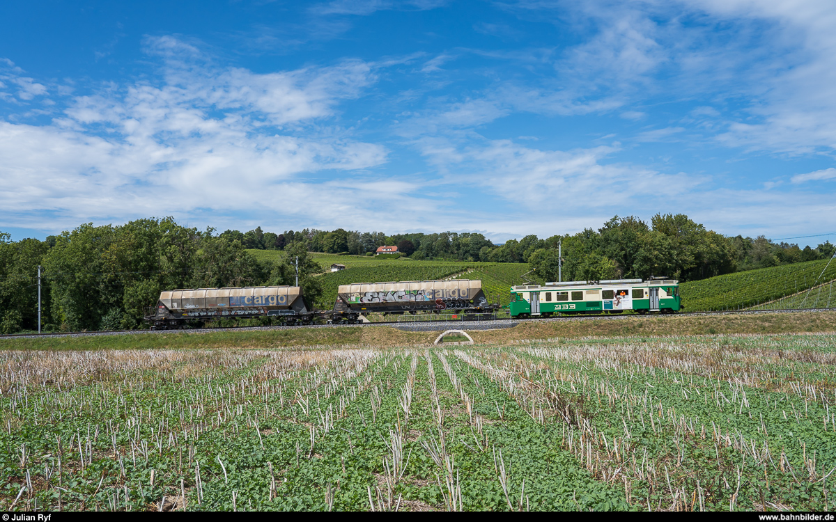 Güterverkehr bei der MBC<br>
Be 4/4 11 mit 2 aufgebockten Getreidewagen nach Bussy-Chardonnay am 25. August 2020 bei Vufflens-le-Château.
