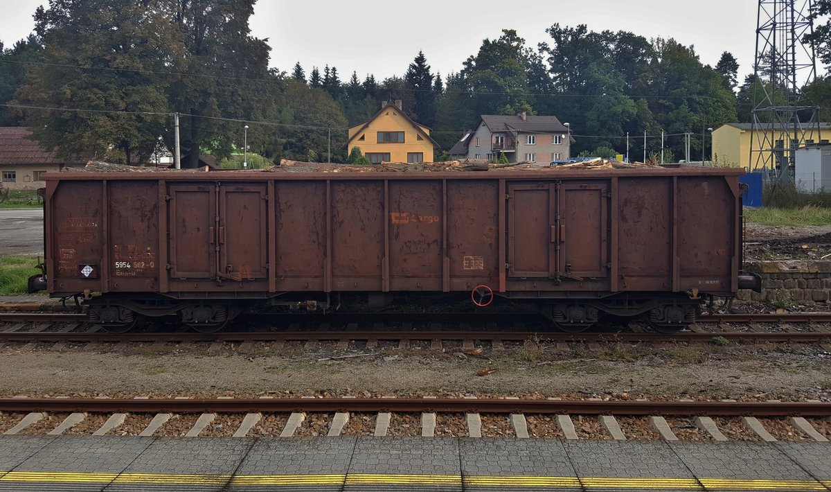 Güterwagen EAS-U (ČD Cargo) mit holz in Nové Hrady station (22.9.2018)