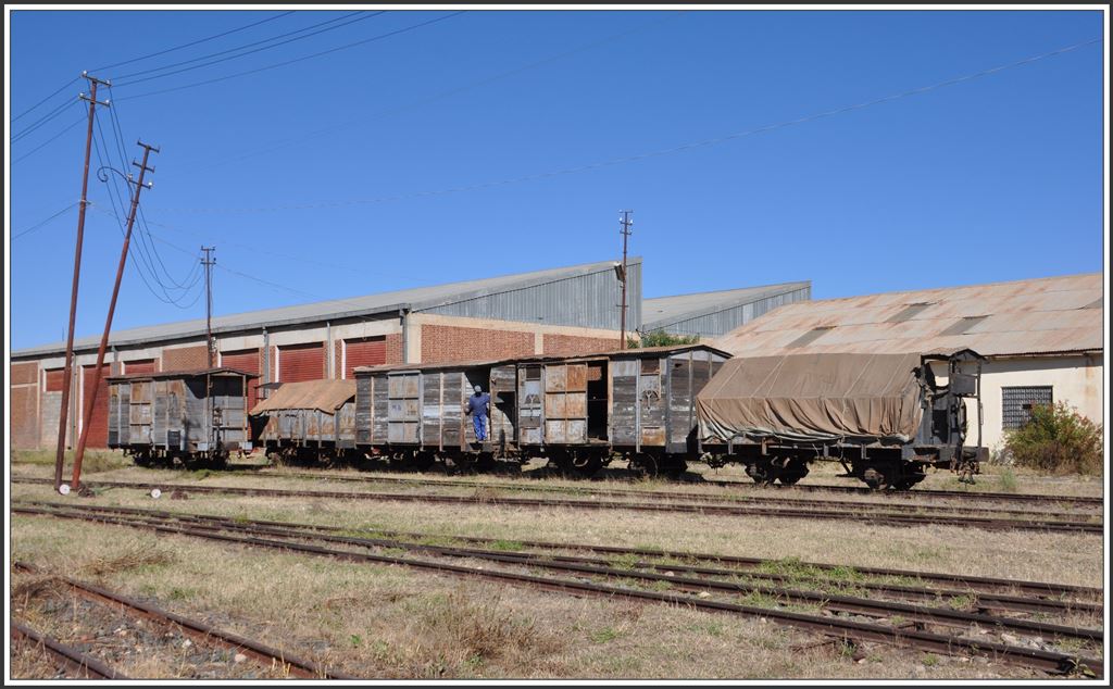 Güterwagen verschiedener Bauart im Bahnhof Asmara. (11.12.2014)