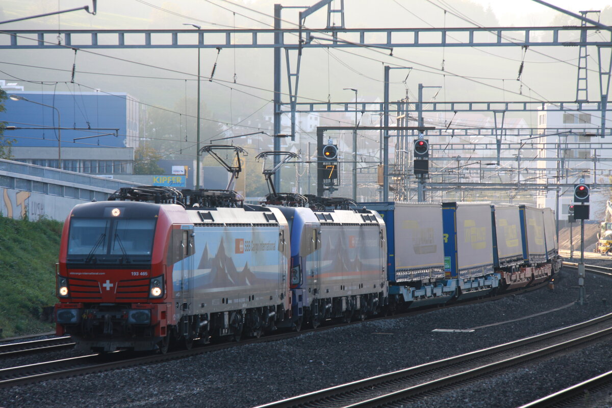 Güterzug auf der Fahrt nach Olten am 16.10.2021 in Lausen.