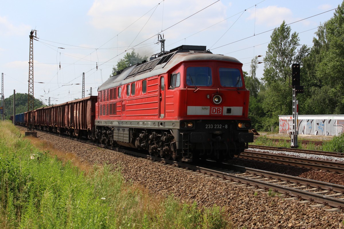 Güterzug mit EANOS Waggons und der 233 232 fährt auf dem Güterring durch Leipzig-Thekla. Gesehen am 06.7.2015