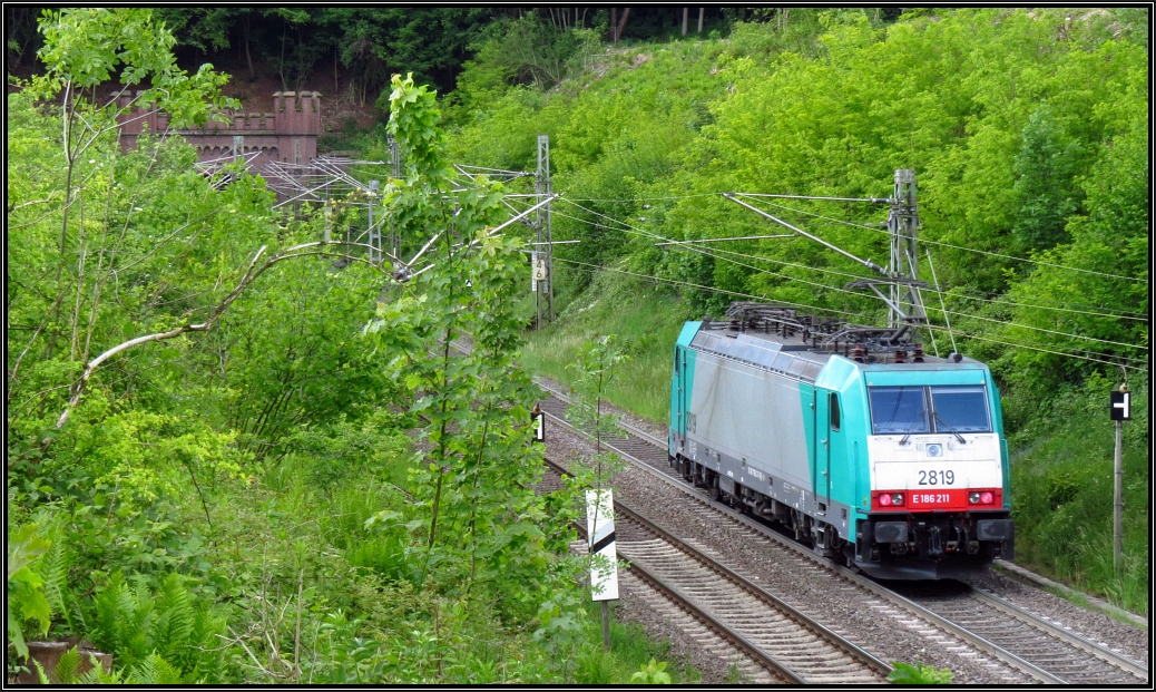 Gut getarnt schleicht die belgische Cobra die Montzenroute hinauf,gleich wird sie in den Gemmenicher Tunnel verschwinden. Naturszenario am Geussen Weg unweit von Aachen am 30.Mai 2015.
