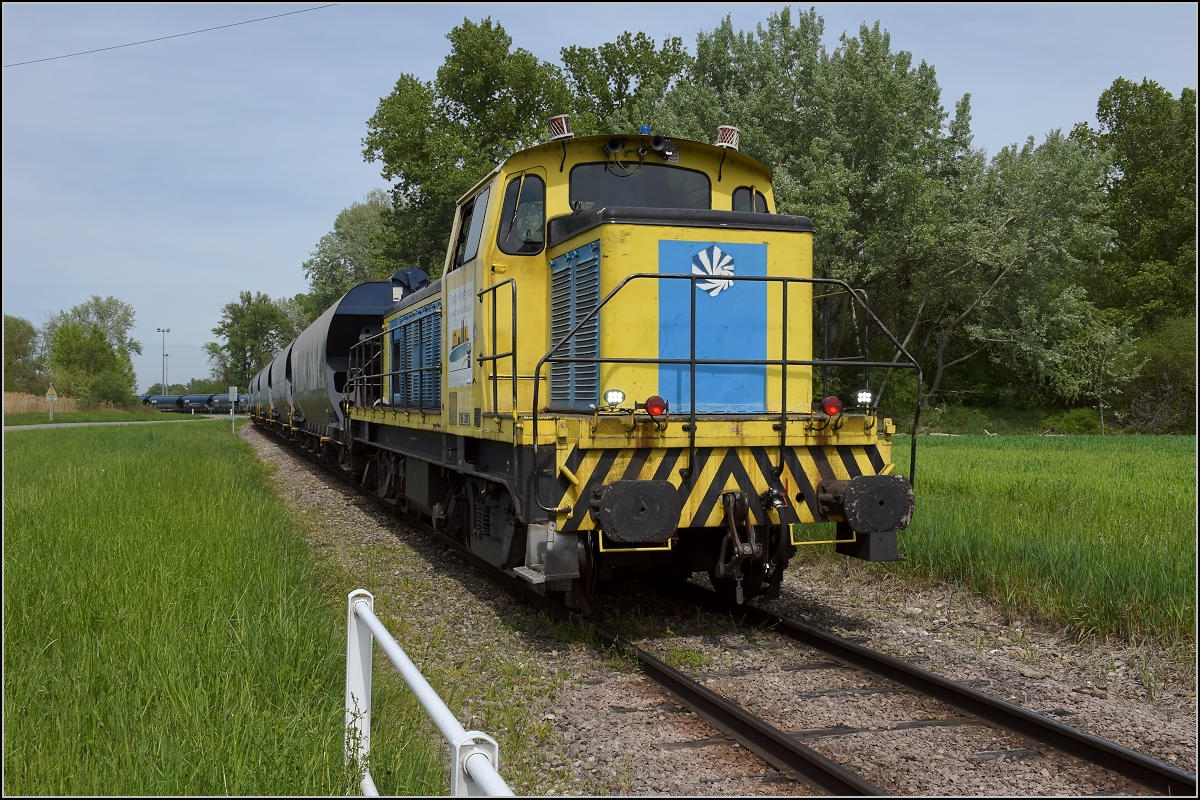 Hafenbahn Colmar/Neu Breisach. BB 2000 mit Getreidewagen auf dem Weg vom Hafen zum Bahnhof Volgelsheim. April 2019.