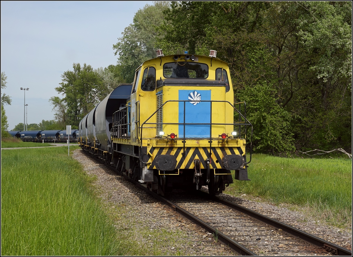 Hafenbahn Colmar/Neu Breisach. BB 2000 mit Getreidewagen auf dem Weg vom Hafen zum Bahnhof Volgelsheim. April 2019.