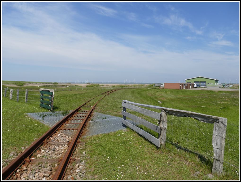 Halligbahn Lüttmoorsiel - Nordstrandischmoor. 600mm Spurweite und 3,6km lang. Der Gitterrost in Lüttmoorsiel hält die Schafe fern. (19.05.2019)