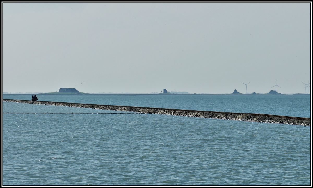 Halligbahn Lüttmoorsiel - Nordstrandischmoor. 600mm Spurweite und 3,6km lang. Neben den erhöhten Höfen auf der Hallig Nordstrandischmoor kommt auf dem Damm eine Lore entgegen. (19.05.2019)