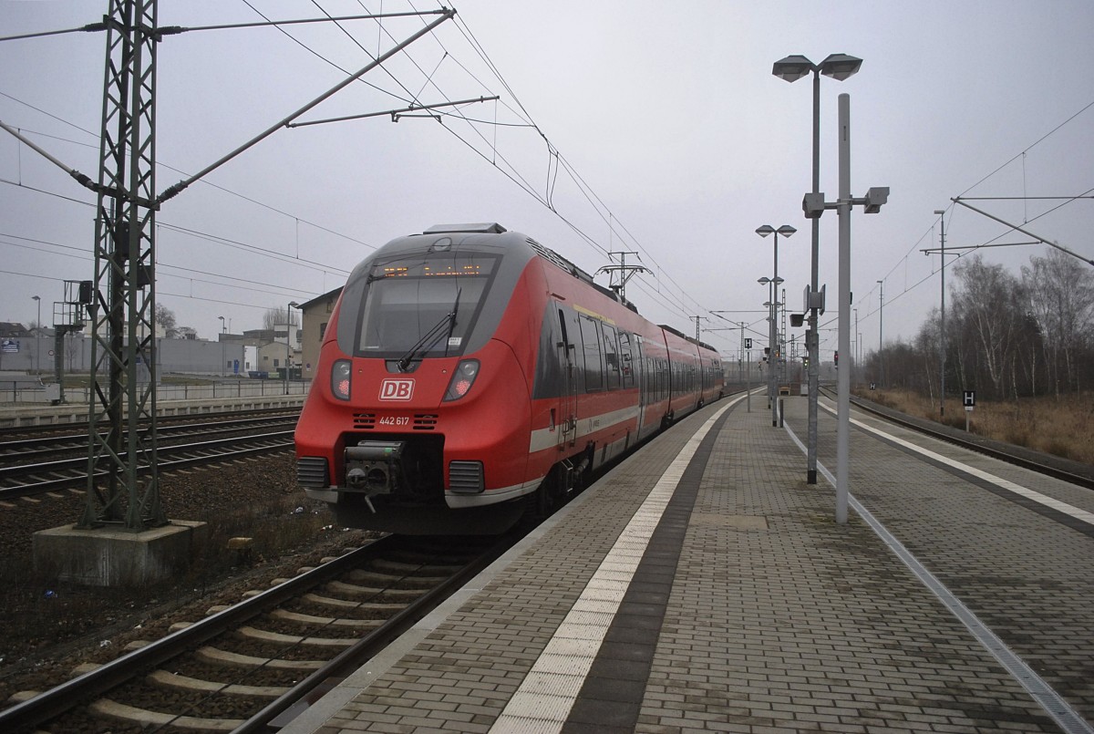 Hamster am 19.01.2014 in Wurzen