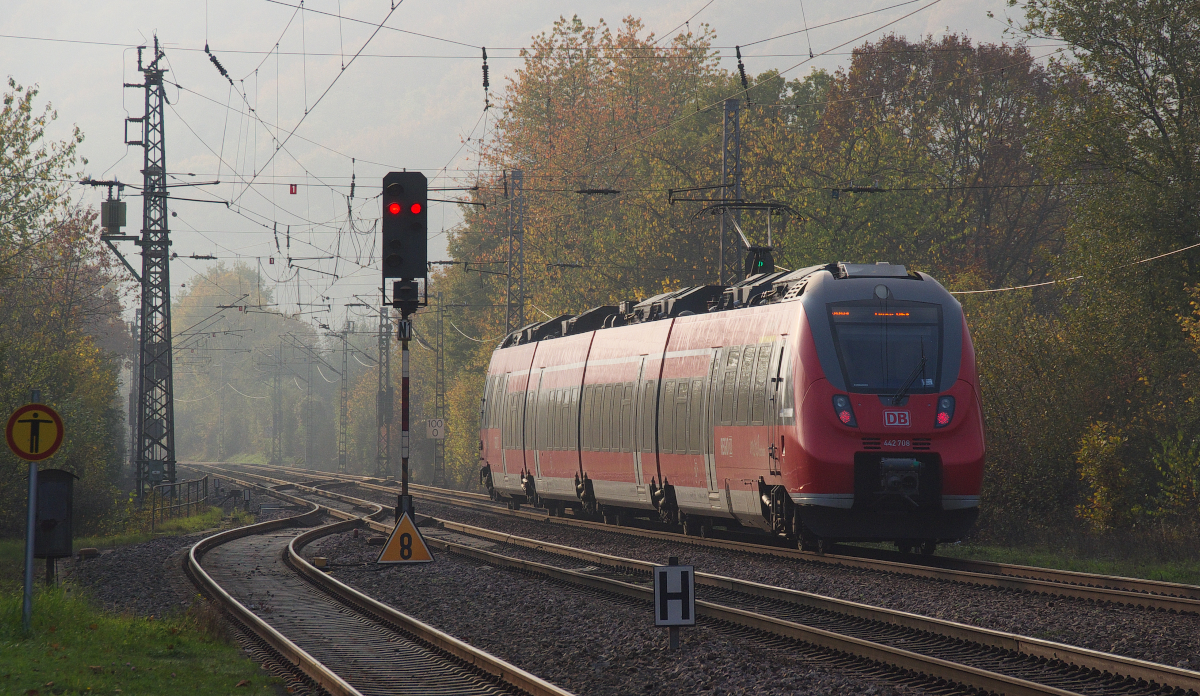 Hamsterbäckchen im Herbst! Der Hamster 442 206 war am 02.11.2014 auf der Relation Koblenz - Trier unterwegs. Der Herbstnebel zog schon auf als der Triebwagen den Bahnhof Schweich DB verlässt! Bahnstrecke 3010 Koblenz - Perl Grenze.