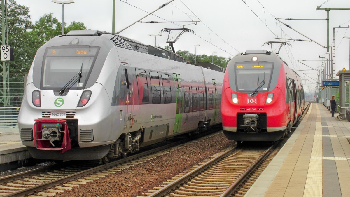  Hamstertreffen  am Gleis 7 in Falkenberg (E.), 1446 601 der S-Bahn Mitteldeutschland links und 442 506 der DB rechts (12.9.14)  