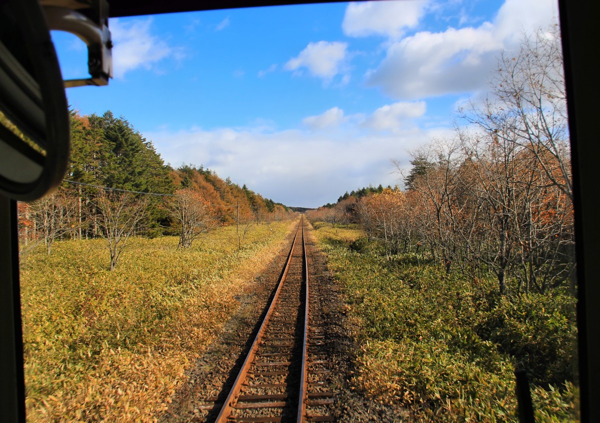 Hanasaki-Linie - eigentlich ein Bild von gar nichts, und doch ergeben der blaue Himmel, die Wolken und das leuchtende Bambus-Gras eine für diese Strecke sehr charakteristische Stimmung. Aus Triebwagen KIHA 54 523, Hattaushi, 26.Oktober 2015. 