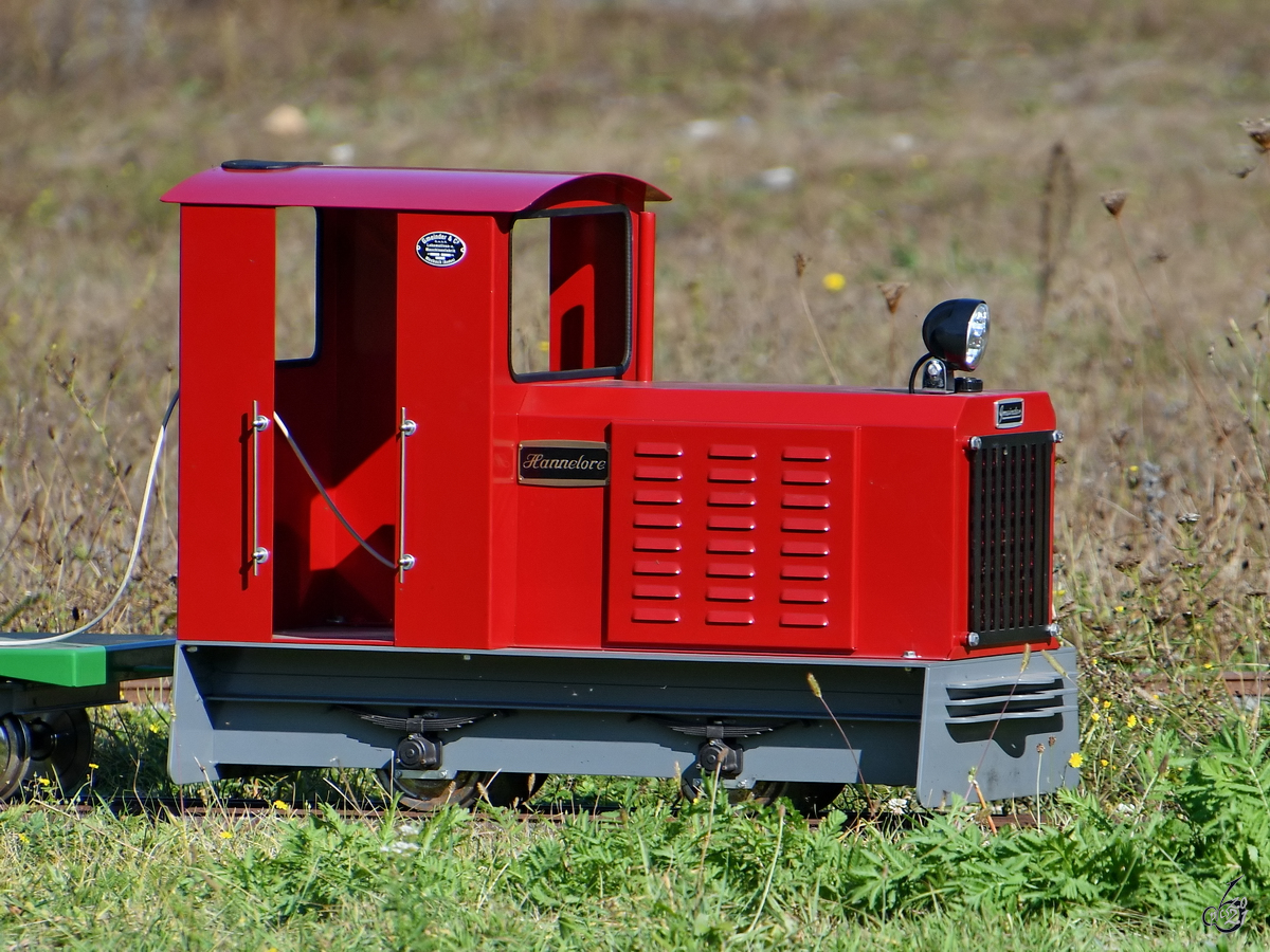  Hannelore  zog auf der Strecke der Mitfahreisenbahn im Eisenbahnmuseum ihre Runden. (September 2021)