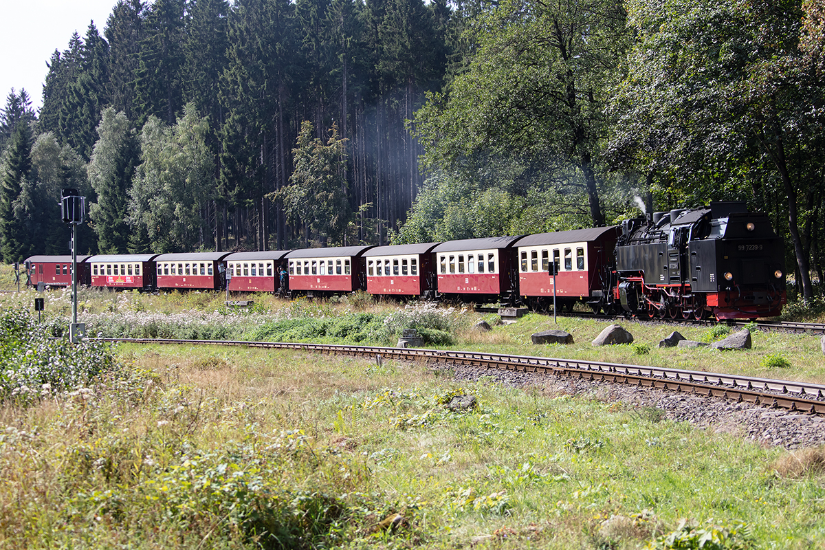 Harzer Schmalspurbahnen, 997239-9, 31.08.2019, Drei Annen Hohne


