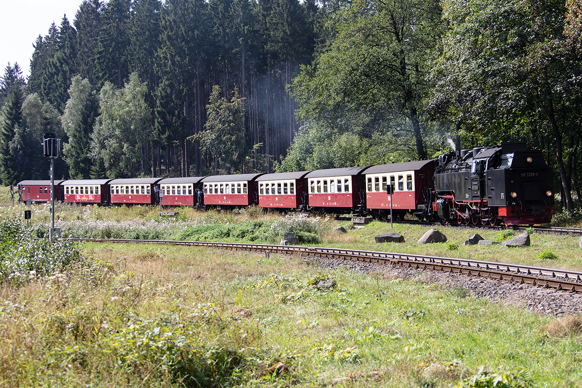 Harzer Schmalspurbahnen, 997239-9, 31.08.2019, Drei Annen Hohne



