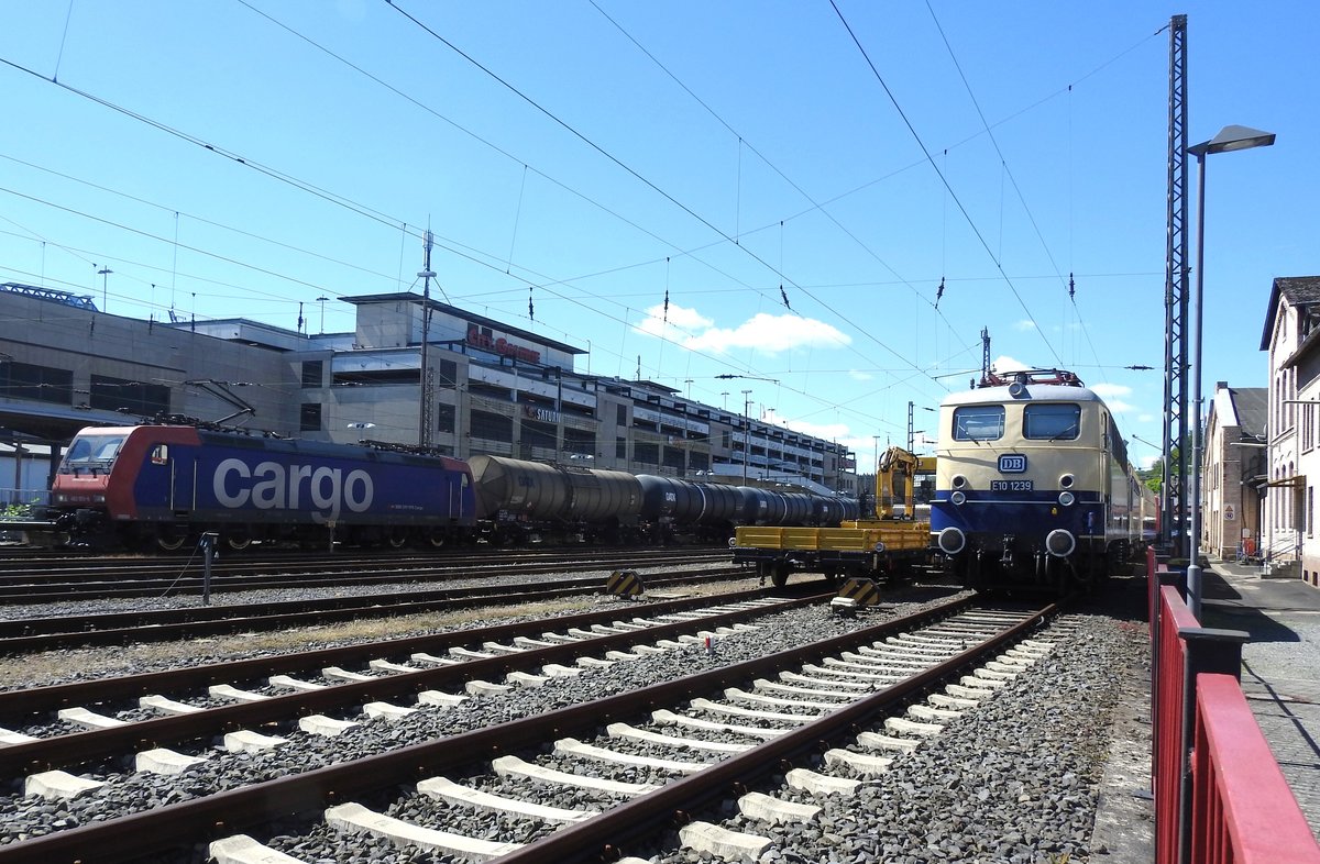 HAUPTBAHNHOF SIEGEN-E 10 1239/KLV UND DURCHFAHRENDE SBB-CARGO-LOK
Die bildschöne E10 1239 DB stand neben einem KLV des SWEM-SIEGEN am 28.5.2019
auf dem Nebengleis zum Ringlokschuppen SIEGEN,als auf dem Durchfahrtgleis
SBB-CARGO-LOK RE 482 mit einem sehr langen Güterzug ins Bild kam...
die Gelegenheit musste ich einfach nutzen für einen Schnellschuss,auch wenn
das Bild leicht nach rechts kippt-hoffe,der Admin lässt es durchgehen...