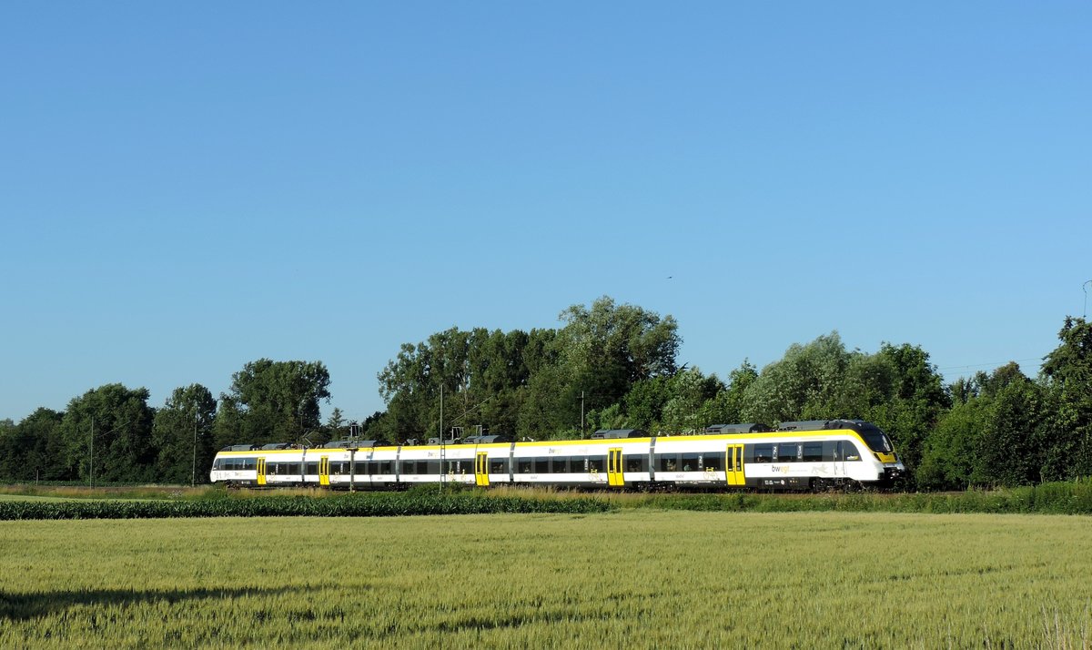 Helmsheim - 24. Juni 2020 : Talent 8 442 305 am RE 19600 Stuttgart - Heidelberg.