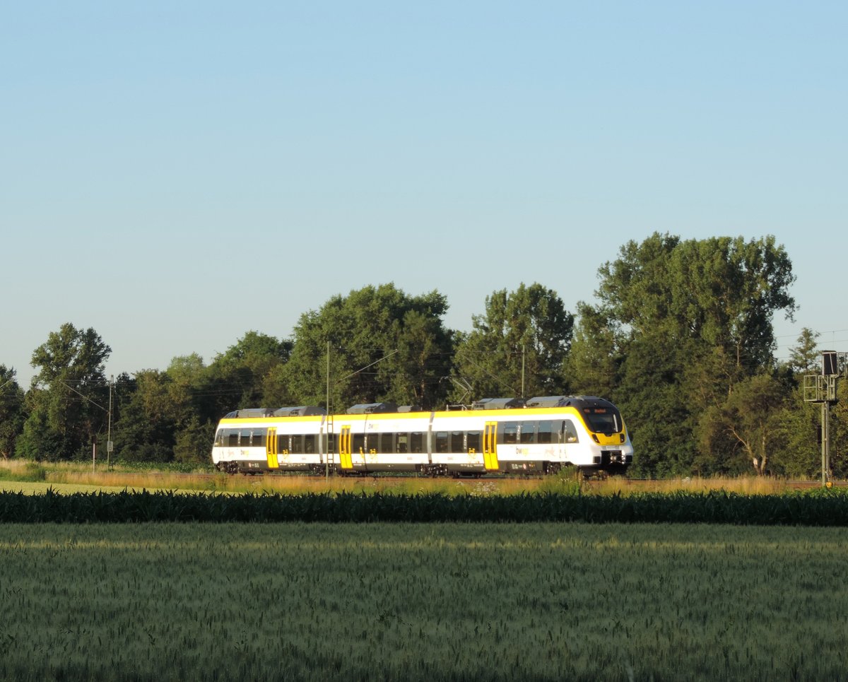 Helmsheim - 24. Juni 2020 : Talent 8 442 109 am RB 19666 Bretten - Bruchsal.