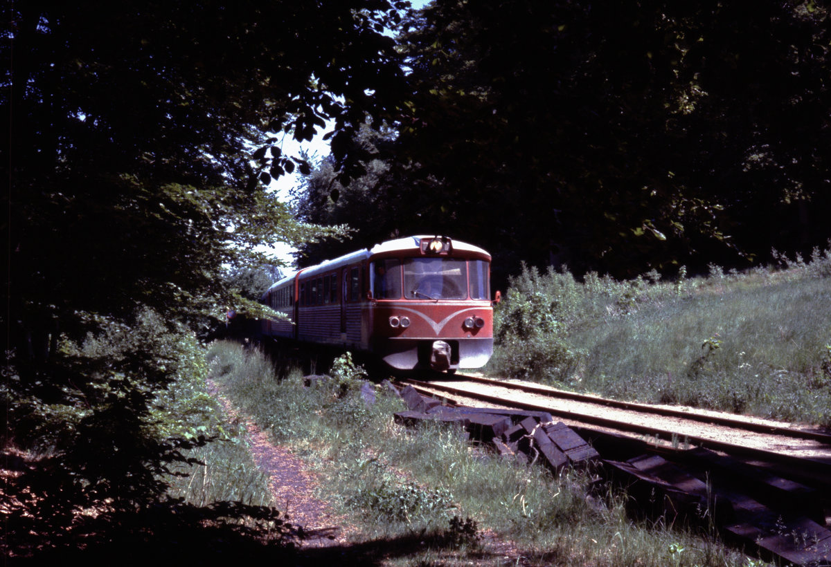 Helsingør-Hornbæk-Gilleleje-Banen, HHGB, auch Hornbækbanen genannt: Am 4. Juni 1979 fährt ein sogenannter Y-Zug durch den Wald zwischen Højstrup und Julebæk. - Der genaue Fotostandort kann nicht angegeben werden. - Scan eines Diapositivs. Film: Kodak Ektachrome. Kamera: Leica CL.