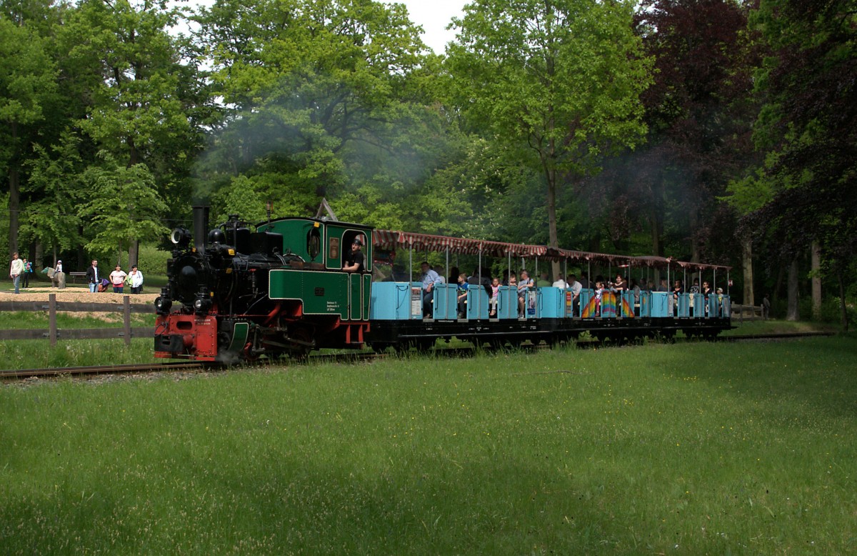 Henschel-Lok `Riesa´ am 16.05.15 am Anfang der Runde durch den Chemnitzer Küchwald