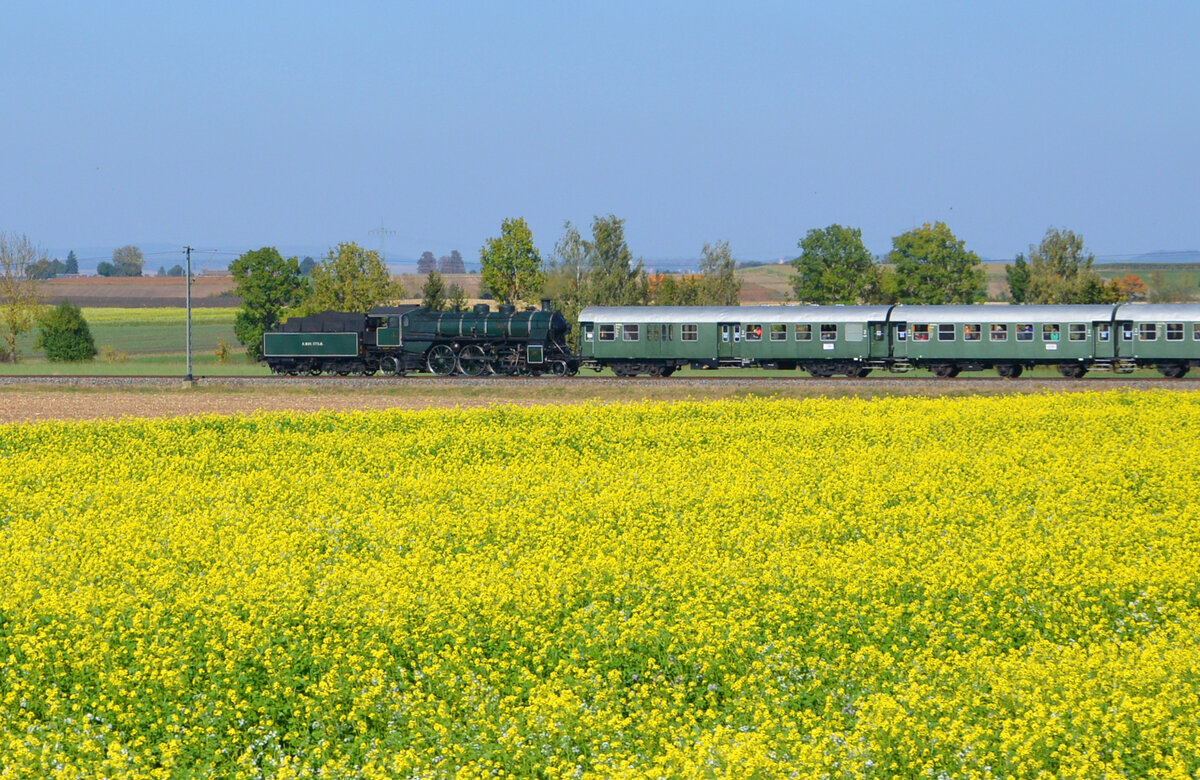 Herbst-Dampftage BEM Nördlingen: Auf der Rückfahrt von Harburg nach Nördlingen kommt S 3/6 3673 Tender voraus mit dem Museumszug kurz vor Nördlingen an einem Raps-Feld vorbei. 09.10.2021