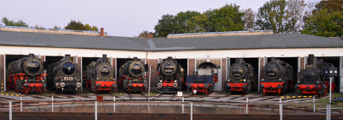 Herbst-Dampftage BEM Nördlingen: Die große Dampflokschau am Abend des 09.10.2021: Alle Stände des Ringlokschuppens sind mit Lokomotiven besetzt. Von links nach rechts stehen 50 3600-9, 44 381, S3/6 3673, 94 1697, 50 778, 52 3548-6, 50 955 (Torso), 57 3526, 38 3180 und 89 837.