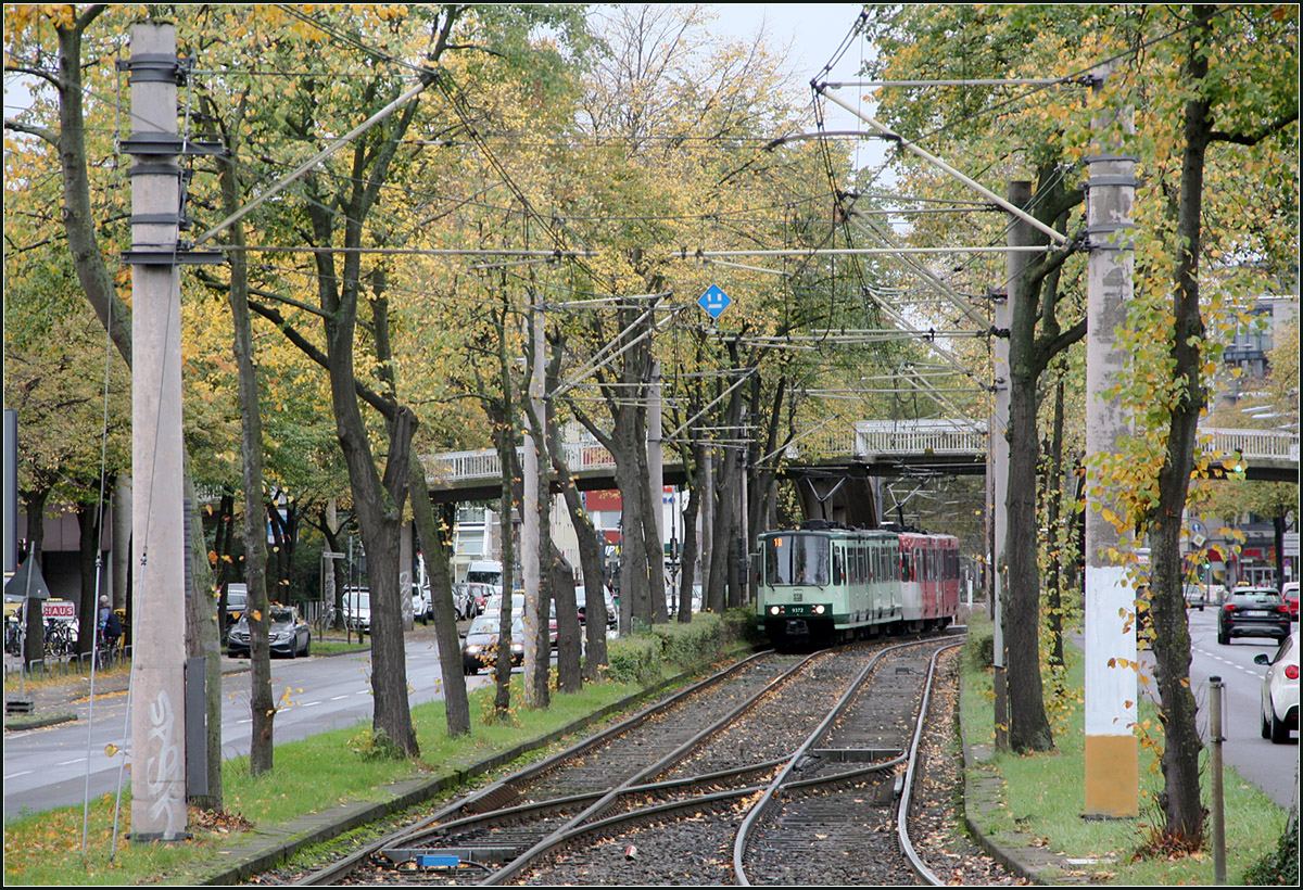 Herbst in Köln -

Da es zu Regen begann musste ich meine Canon G7X Mark II wegpacken und die EOS 450 D aus der Tasche holen.

Ein Stadtbahnzug der Linie 18 aus Bonn kurz vor der Haltestelle Eifelwall. Hier etwa könnten die Bahnen im Tunnel verschwinden, wollte man die Stadtbahn in Köln weiterentwickeln. In Richtung Innenstadt fahren heute die Bahnen im Autoverkehr, später muss die Kreuzung am Barbarossaplatz gequert werden um dann in den Innenstadttunnel einzufahren. Um den Betrieb dieser wichtigen Städte verbindendenden Linie ein zügige und ungestörte Fahrt zu ermöglichen wäre eine kurze neue Tunnelstrecke mit einer unterirdischen Haltestelle am Barbarossaplatz eine denkbare Möglichkeit. Allerdings würden die für Umleitungsverkehre wichtige Gleisverbindungen an jenem Platz wegfallen. Voraussetzung ist die endgültige Fertigstellung der Nord-Süd-Stadtbahn, da dann die Linie 16 nicht mehr am Barbarossaplatz abbiegen wird.

16.10.2019 (M)