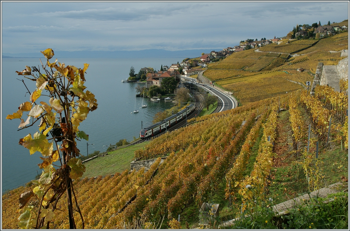 Herbst im Lauvaux: Der RE 2722 auf dem Weg nach Gen�ve kurz vor Rivaz.
8. Nov. 2013 