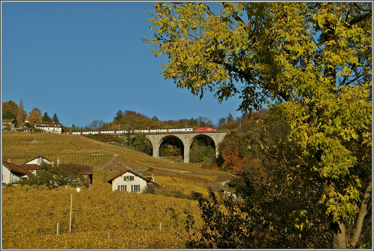 Herbst im Lavaux: Ein IR nach Luzern kurz nach Bossière.
11. Nov. 2013