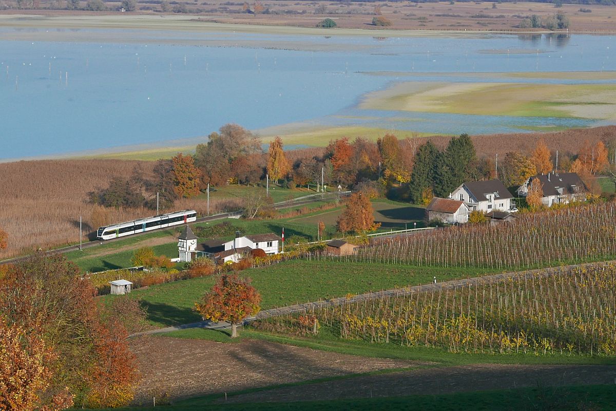 Herbst und Niedrigwasser am Bodensee - Auf der Fahrt von Nesslau-Neu St. Johann nach Schaffhausen wurde S8 23857 am 11.11.2018 zwischen den Stationen Triboltingen und Ermatingen fotografiert.