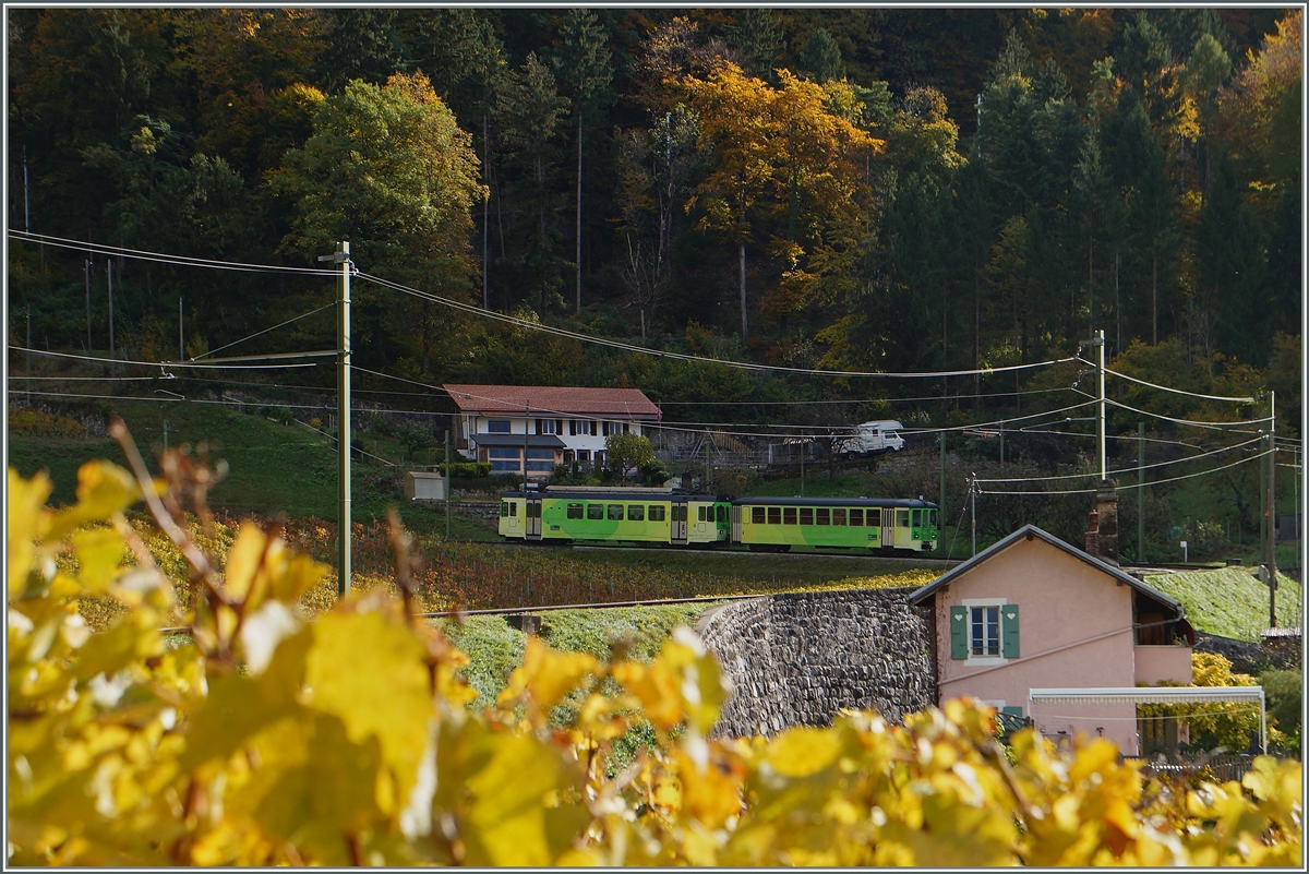 Herbst oberhalb von Aigle: der ADS Regionalzug 428 fährt Richtung Les Diablerets.
3. Nov. 2014