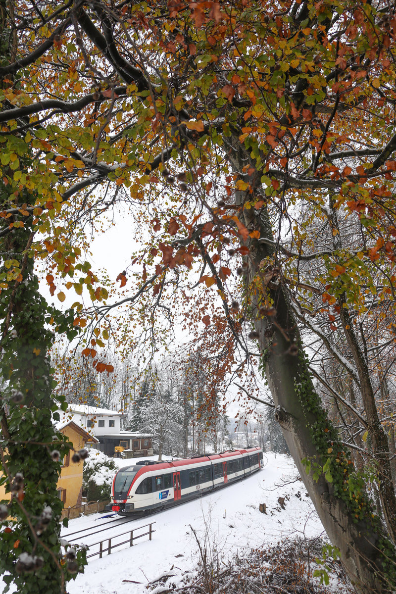 Herbst VS Winter … 

Ein kurzer Gruß vom Winter lässt die Weststeiermark weiß werden. 
20.11.2018 bei Deutschlandsberg