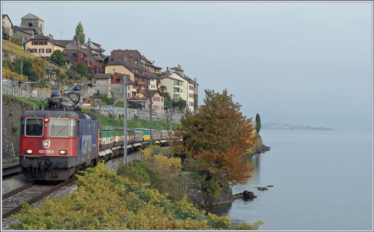 Herbst - die wohl schönste Zeit der Fotografie, das Licht ist sanft und Natur bunt. So auch der Baum am See; und doch war es wohl ein Herbst-Sturm der in knickte, den Baum, der so unendlich viel Züge an sich vorbeifahren sah...
In der bunten Herbstlandschaft ist die SBB Re 4/4 II 11178 (Re 420 178-6) mit einem bunten Güterzug auf dem Weg nach Lausanne. 

25. Oktober 2021