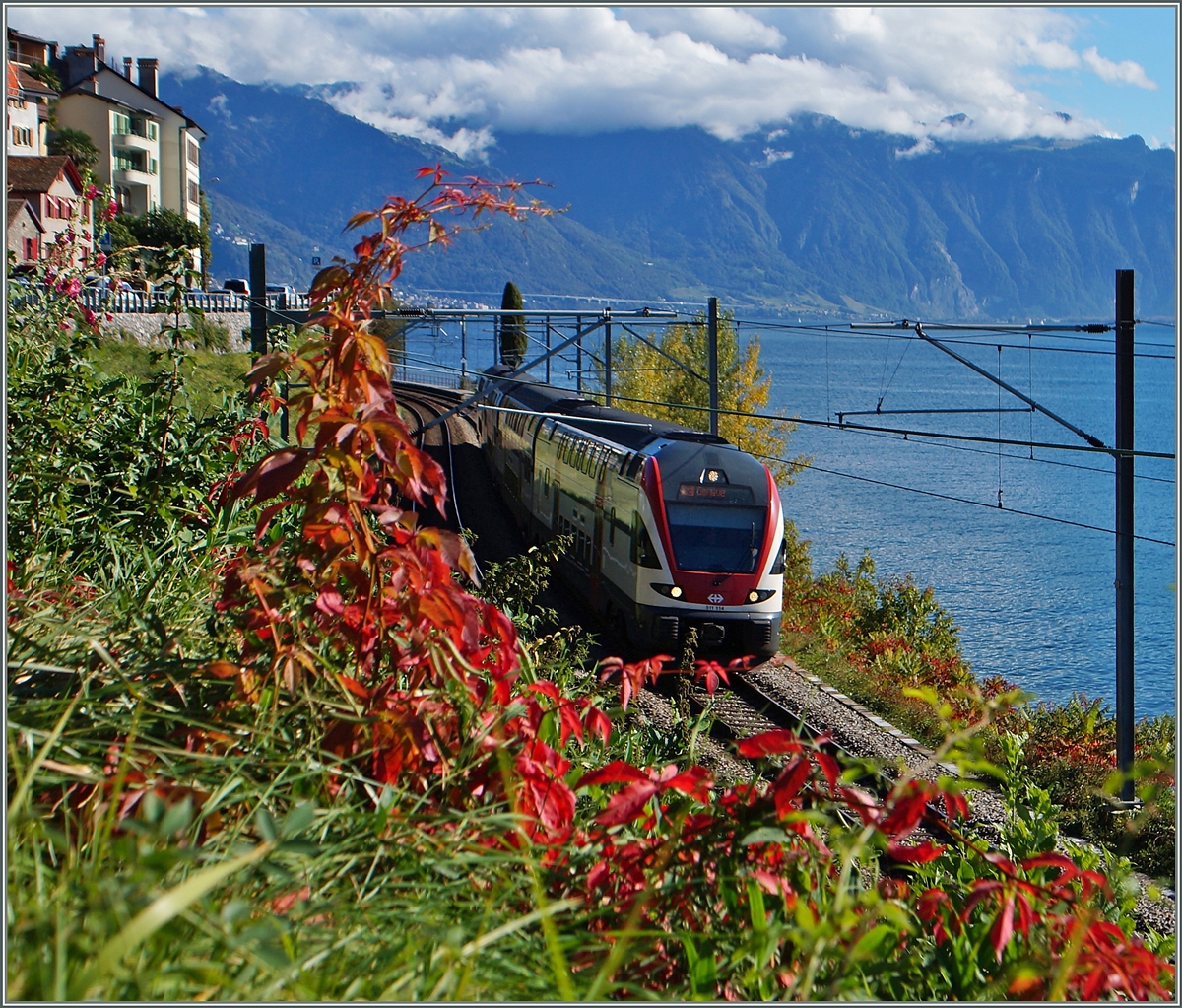 Herbst, Zeit der bunten Farben: Ein RABe 511 als RE nach Genève bei St Saphorin.
17. Oktober 2014