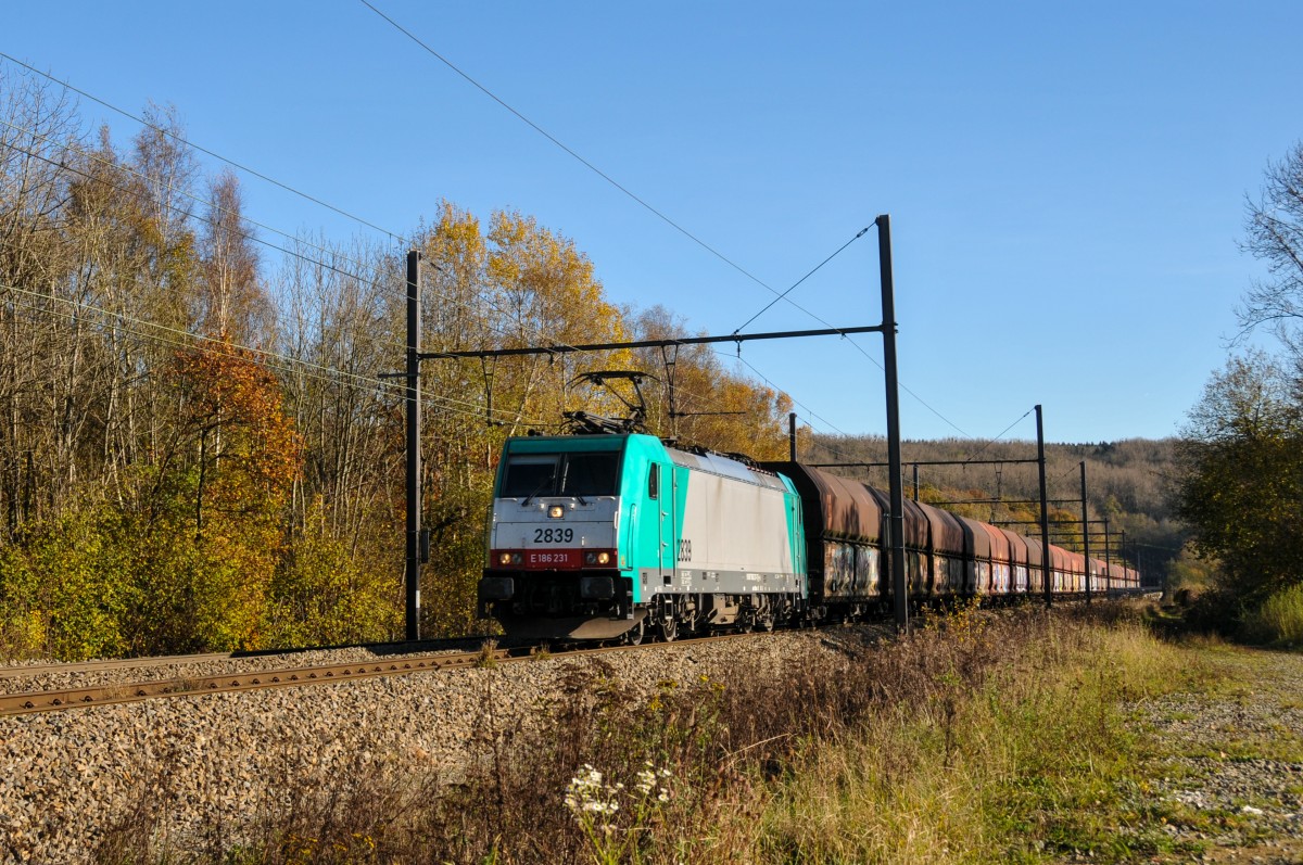 Herbstliche Farben umgaben Cobra-Lok 2839, als ich sie am 13/11/2014 auf der Montzenroute kurz hinter dem Viadukt vom Remersdael ablichtete.