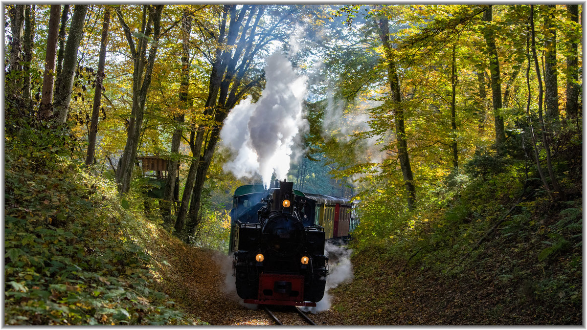 Herbstliches aus dem Stainztal. 
19.Oktober 2019