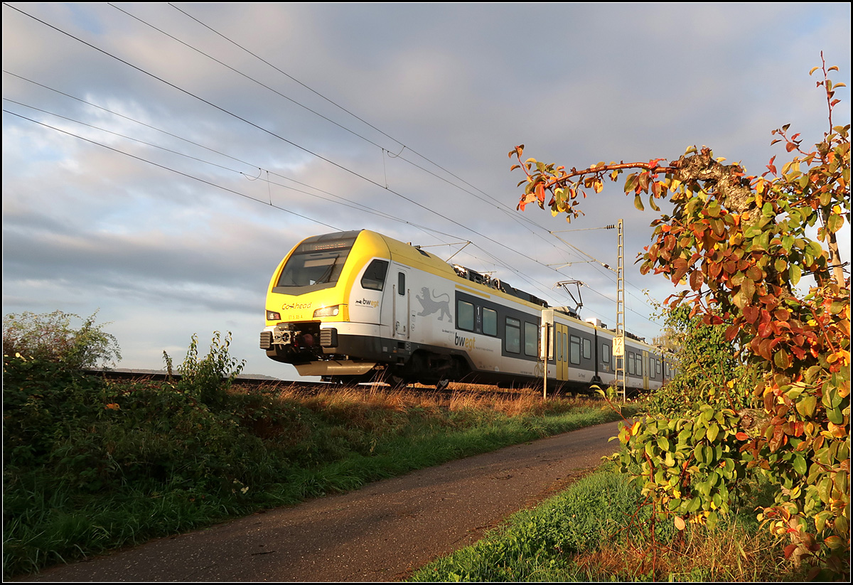 Herbstmorgen im Remstal -

Nachschuss auf einen Flirt 3-Triebzug der Go-Ahead in Fahrtrichtung Stuttgart auf der Remsbahn bei Weinstadt-Endersbach.

18.10.2019 (M)