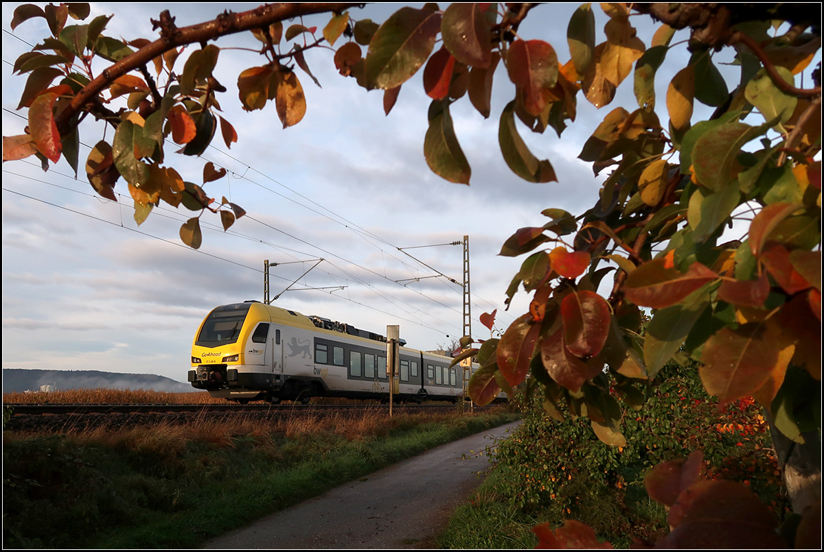 Herbstmorgen im Remstal -

 Vorschuss  auf einen Flirt 3-Triebzug der Go-Ahead in Fahrtrichtung Aalen auf der Remsbahn bei Weinstadt-Endersbach.

18.10.2019 (M)
