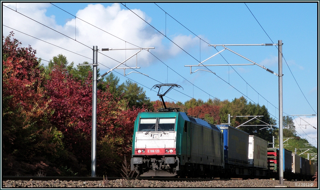 Herbststimmung im Wald bei Moresnet in Belgien. Die E 186 123 (Railtraxx) ist mit ihrer Gterfracht unterwegs auf der Montzenroute in Richtung Antwerpen.Aufnahme vom Oktober 2013.