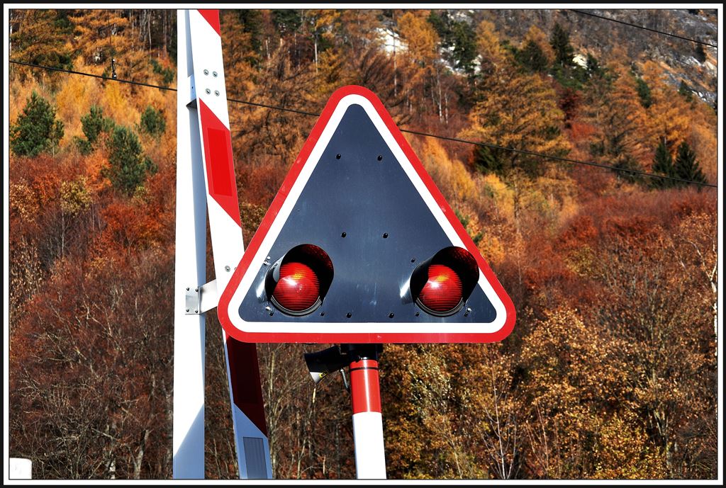 Herbstwald in der Chlus bei Malans. (29.11.2013)