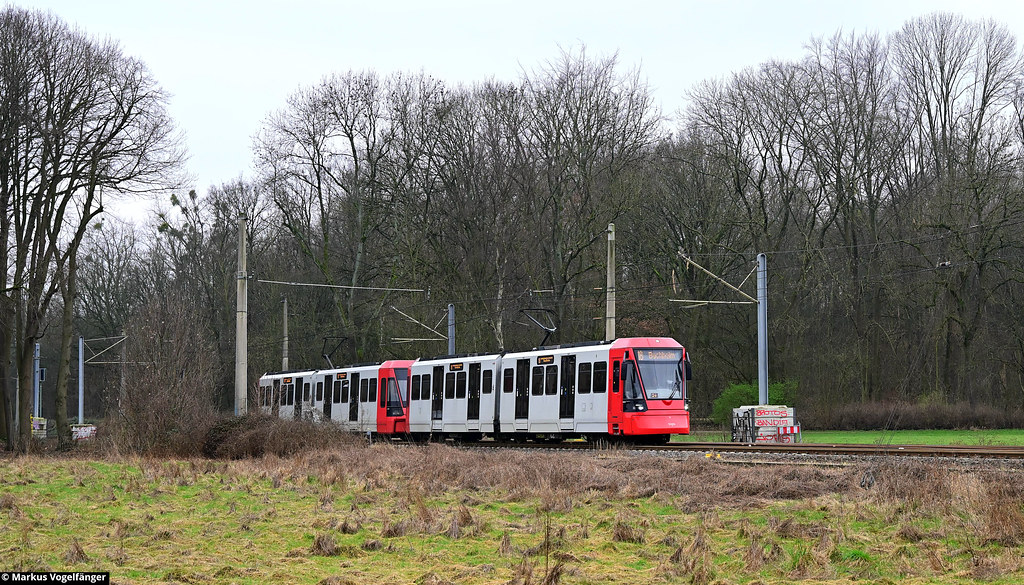HF6 5305 und 5319 als Linie 18 nach Buchheim auf der EBO-Strecke im Kölner Stadtwald zwischen Efferen und Klettenberg am 17.02.2024.