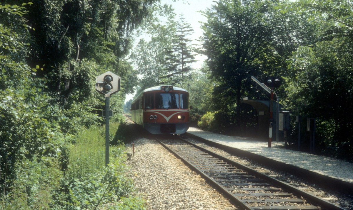 HHGB (Helsingør-Hornbæk-Gilleleje-Banen, auch Hornbækbanen genannt): Triebzug (Ym + Ys) Haltepunkt Horneby Sand am 11. Juli 1983. 