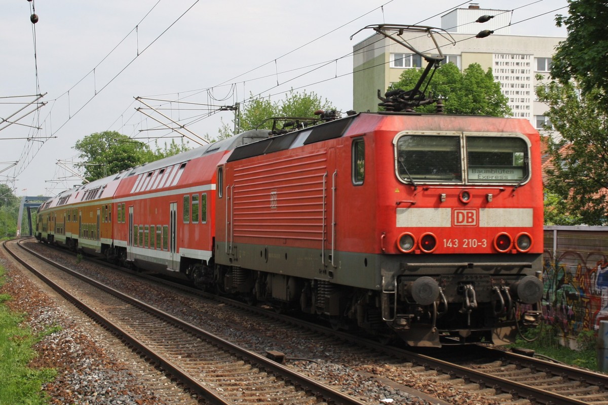 Hier 143 210-3 mit einem RE1 (RE18005)  Baumblüten-Express  von Werder(Havel) nach Berlin Zoologischer Garten, bei der Ausfahrt am 1.5.2014 aus Potsdam Charlottenhof. 