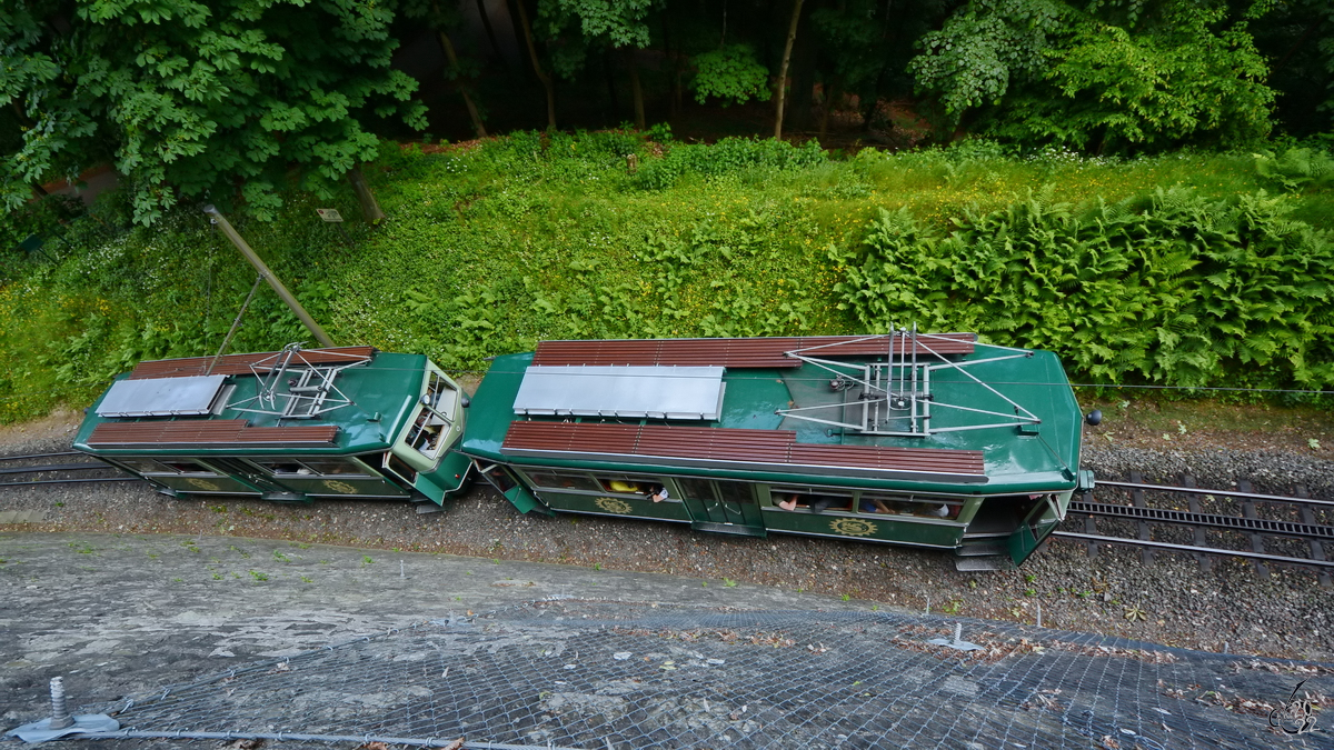 Hier ist ein Triebwagenduo der Drachfelsbahn auf den letzten Metern zur zum Drachfels zu sehen. (Mai 2014)