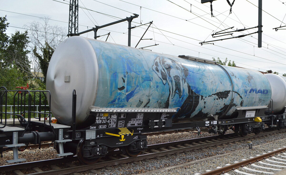 Hier einer von einer ganzen Reihe mit unterschiedlichen Tiermotiven beklebter Kesselwagen von der BSAS EisenbahnVerkehrs GmbH & Co. KG mit der Nr. 37 TEN 80 D-BSAS 7839 247-9 Zacns (GE) am 23.09.21 Bf. Golm (Potsdam).