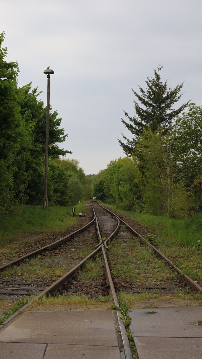 Hier endet die ehemalige Strecke  815 Neustrelitz-Pritzwalk, später KBS 206.
Durch die Stillegung und den Abbau zwischen Pritzwalk  und  Mirow wurde das ohnehin schon dünne Eisenbahnnetz in MV weiter ausgedünnt. Auf der Radtour in Mirow.  11.05.2022 09:35 Uhr.