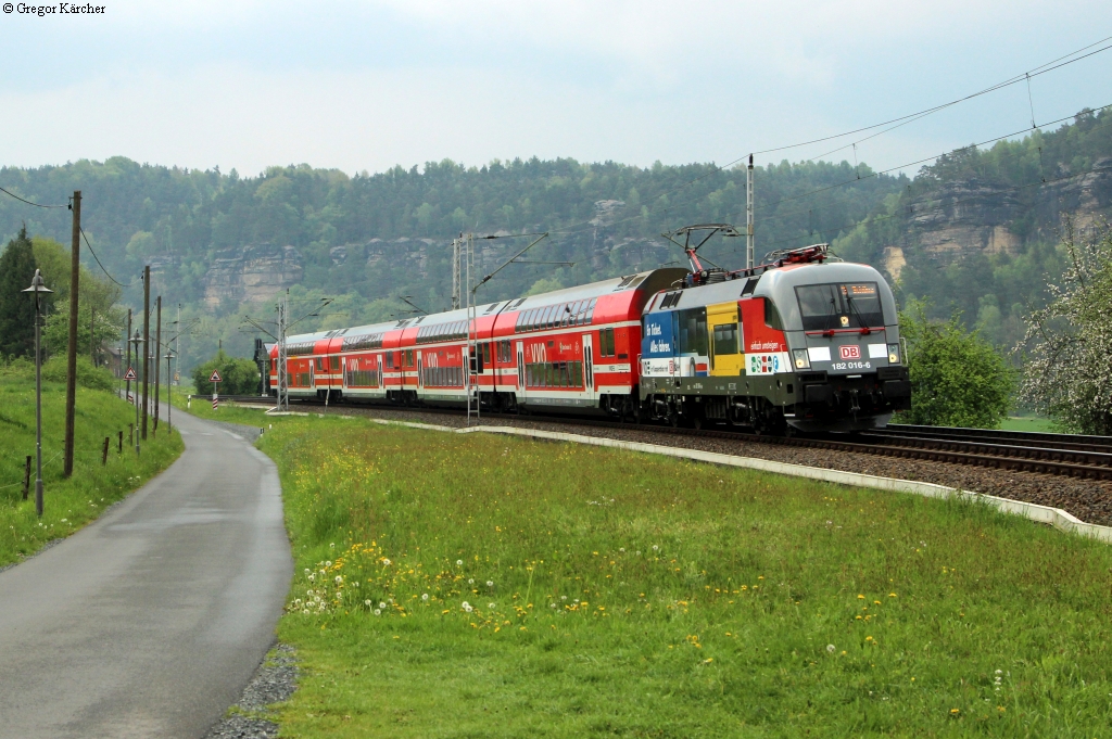 Hier die frontale Ansicht auf die Werbelok 182 016-6 mit der S1 nach Schöna. Aufgenommen am 24.04.2014 bei Kurort Rathen.